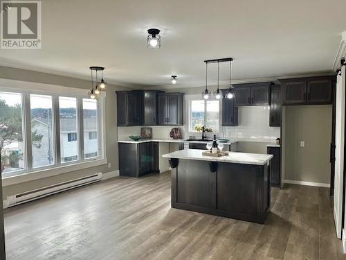 111 Coley'S Point S, Bay Roberts, NL - Indoor Photo Showing Kitchen With Upgraded Kitchen