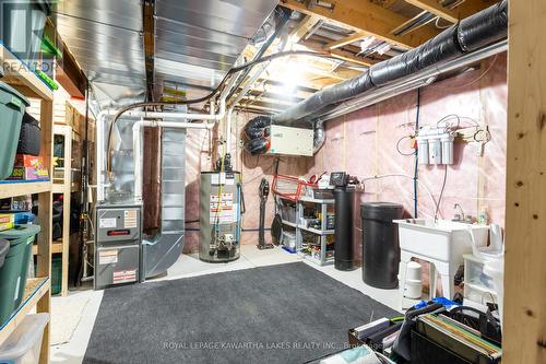 25 Liam Street, Kawartha Lakes (Lindsay), ON - Indoor Photo Showing Basement