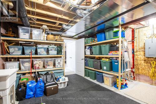 25 Liam Street, Kawartha Lakes (Lindsay), ON - Indoor Photo Showing Basement