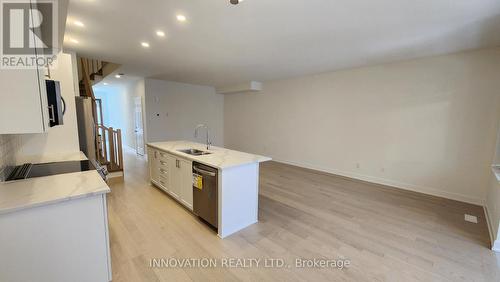 815 Anciano Crescent, Ottawa, ON - Indoor Photo Showing Kitchen With Double Sink