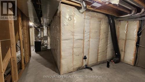 815 Anciano Crescent, Ottawa, ON - Indoor Photo Showing Basement