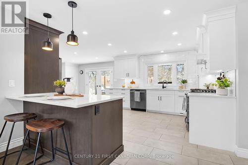 17 Queen Mary Crescent, London, ON - Indoor Photo Showing Kitchen With Upgraded Kitchen