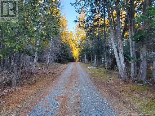 568 Bayview Drive, Saint Andrews, NB - Outdoor With View