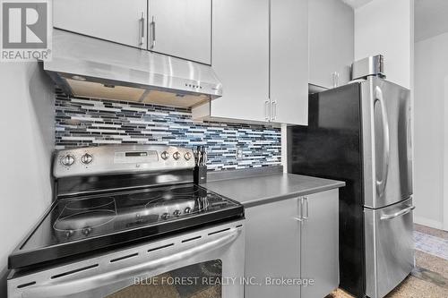 303 - 272 Dundas Street, London, ON - Indoor Photo Showing Kitchen