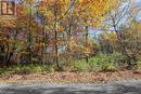 Lot 18 Nokomis Beach Rd, Sault Ste. Marie, ON 