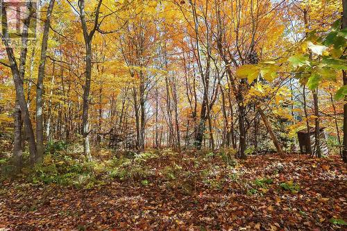 Lot 18 Nokomis Beach Rd, Sault Ste. Marie, ON 