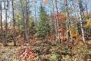 Lot 18 Nokomis Beach Rd, Sault Ste. Marie, ON 