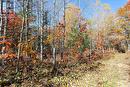 Lot 18 Nokomis Beach Rd, Sault Ste. Marie, ON 