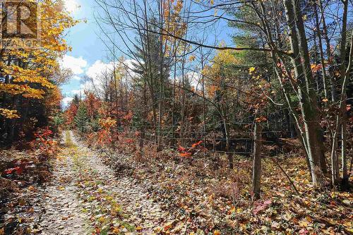 Lot 18 Nokomis Beach Rd, Sault Ste. Marie, ON 