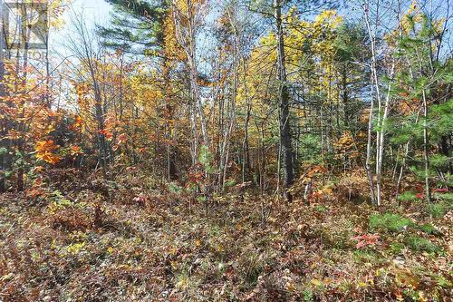 Lot 18 Nokomis Beach Rd, Sault Ste. Marie, ON 