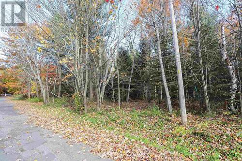 Lot 18 Nokomis Beach Rd, Sault Ste. Marie, ON 