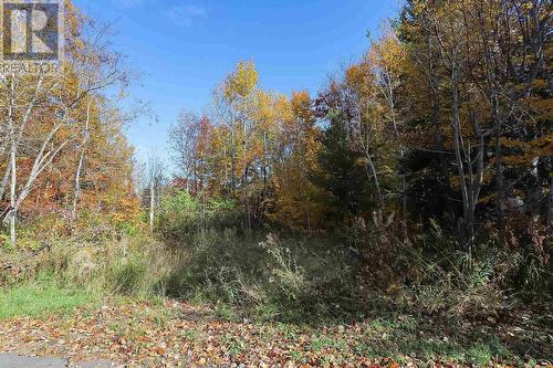 Lot 18 Nokomis Beach Rd, Sault Ste. Marie, ON 