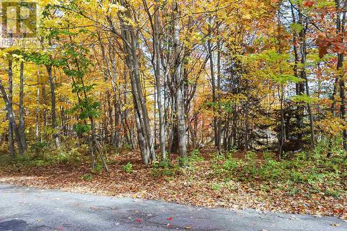 Lot 18 Nokomis Beach Rd, Sault Ste. Marie, ON 