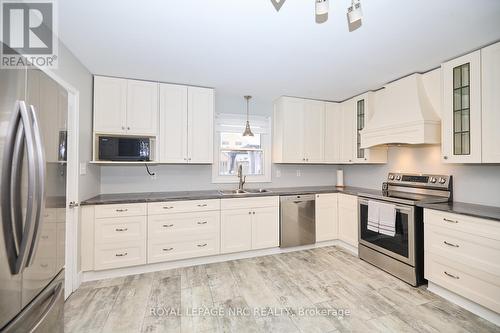 86 Mcalpine Avenue S, Welland (773 - Lincoln/Crowland), ON - Indoor Photo Showing Kitchen With Double Sink