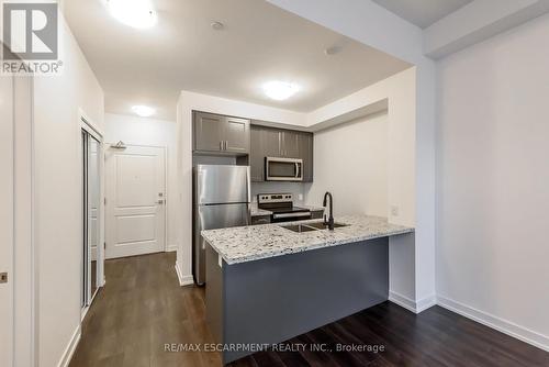 518 - 450 Dundas Street E, Hamilton, ON - Indoor Photo Showing Kitchen With Stainless Steel Kitchen With Upgraded Kitchen