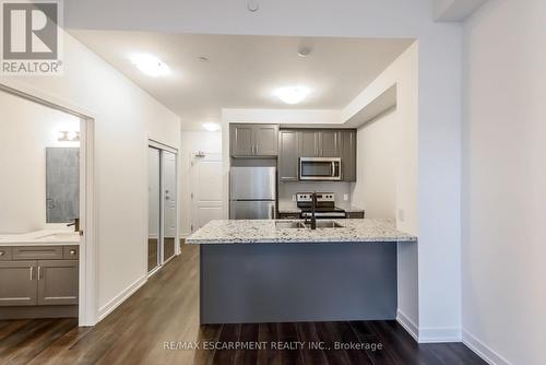 518 - 450 Dundas Street E, Hamilton, ON - Indoor Photo Showing Kitchen With Double Sink With Upgraded Kitchen