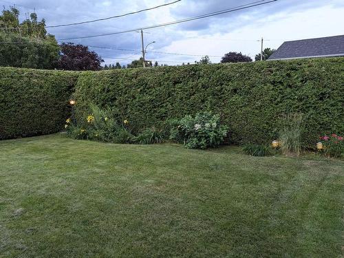 Backyard - 50 Rue Gaudreau, Montmagny, QC - Outdoor