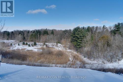 68 - 261 Woodbine Avenue W, Kitchener, ON - Outdoor With View