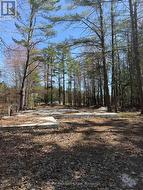 1765 GRAVENHURST PARKWAY Gravenhurst (Muskoka (S)), ON P1P 1R3