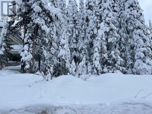 485 Monashee Road, Vernon, BC 