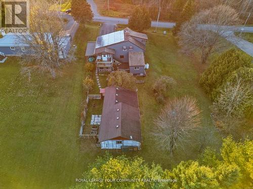 79 Ball Point Road, Kawartha Lakes, ON 