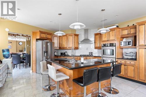 719 Cedar Island Drive, Kingsville, ON - Indoor Photo Showing Kitchen With Upgraded Kitchen