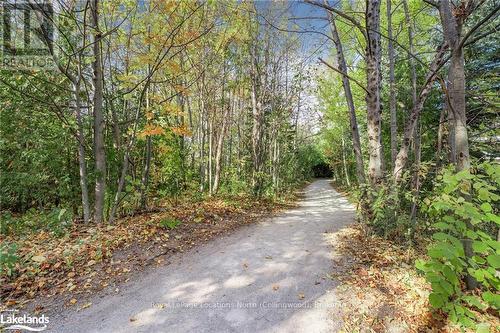 201 - 4 Brandy Lane Drive, Collingwood, ON - Outdoor With View