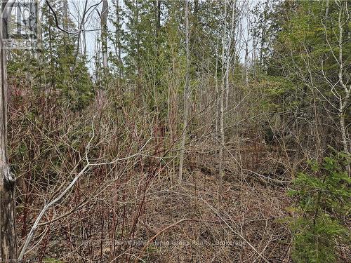 35 Hardwick Cove Road, Northern Bruce Peninsula, ON 