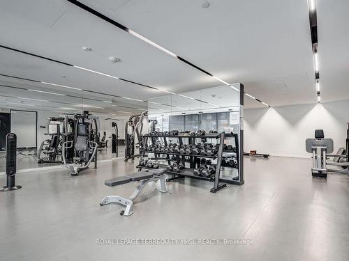 302-51 Trolley Cres, Toronto, ON - Indoor Photo Showing Gym Room