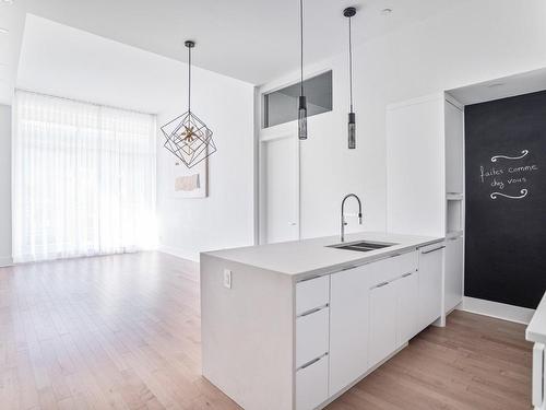 Vue d'ensemble - 111-360 Rue Atateken, Montréal (Ville-Marie), QC - Indoor Photo Showing Kitchen With Double Sink