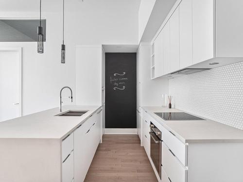 Cuisine - 111-360 Rue Atateken, Montréal (Ville-Marie), QC - Indoor Photo Showing Kitchen With Double Sink With Upgraded Kitchen