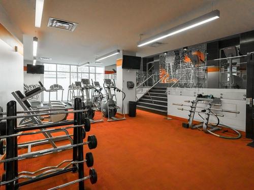 Autre - 306-1010 Rue William, Montréal (Le Sud-Ouest), QC - Indoor Photo Showing Gym Room