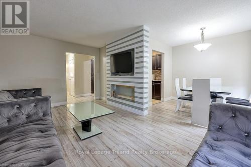 149 Deveron Crescent, London, ON - Indoor Photo Showing Living Room With Fireplace