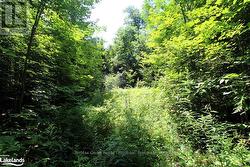 0A 20TH SIDE RD  Parry Sound Remote Area (Mcconkey), ON P0H 1Y0