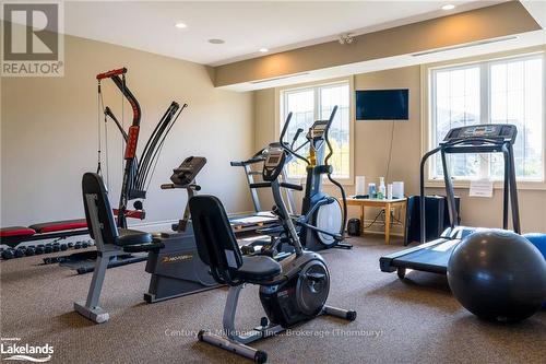 201 - 27 Beaver Street S, Blue Mountains (Thornbury), ON - Indoor Photo Showing Gym Room