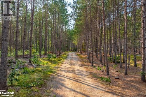 165 James Camp Road, Ryerson, ON - Outdoor With View