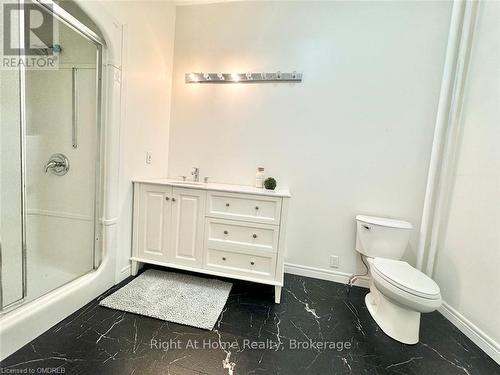 216 Hatt Street, Hamilton (Dundas), ON - Indoor Photo Showing Bathroom