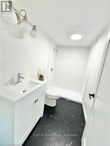 216 Hatt Street, Hamilton (Dundas), ON - Indoor Photo Showing Bathroom