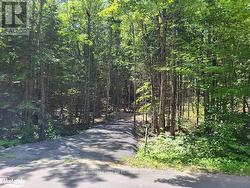 LOT 5 FAIRY FALLS ROAD  Lake Of Bays (Mclean), ON P0B 1A0