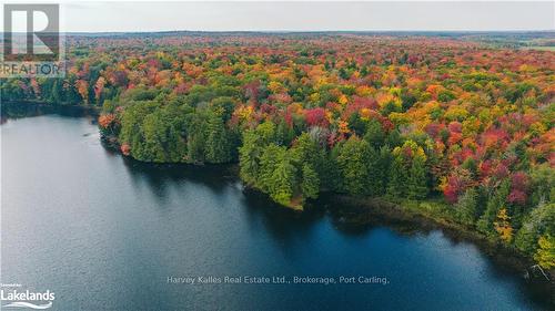 0 Windermere Road, Muskoka Lakes (Watt), ON 