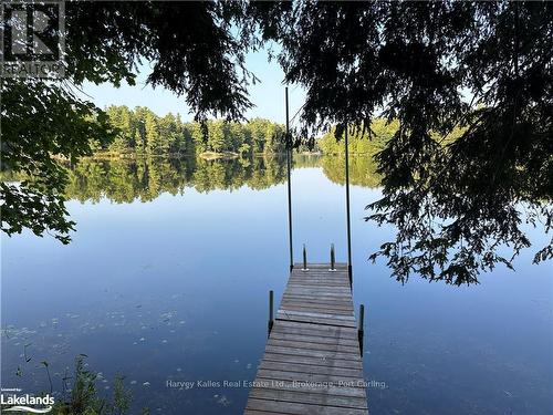 0 Windermere Road, Muskoka Lakes (Watt), ON 