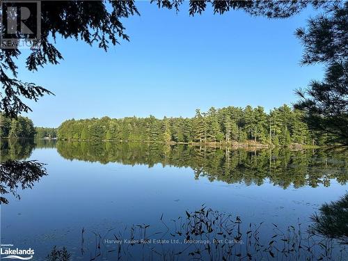 0 Windermere Road, Muskoka Lakes (Watt), ON 