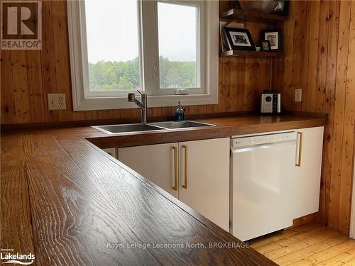 1433 South Horn Lake Road, Ryerson, ON - Indoor Photo Showing Kitchen With Double Sink