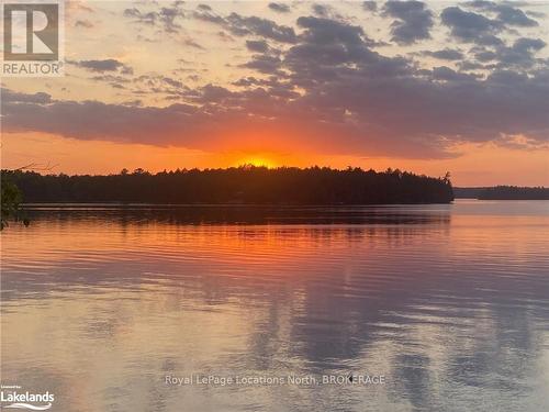 1433 South Horn Lake Road, Ryerson, ON - Outdoor With Body Of Water With View