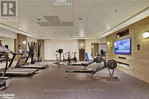 110 Landry Lane, Blue Mountains (Thornbury), ON - Indoor Photo Showing Gym Room