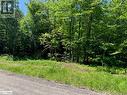 60 Summer Leigh Trail, Huntsville (Stephenson), ON 