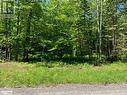 60 Summer Leigh Trail, Huntsville (Stephenson), ON 