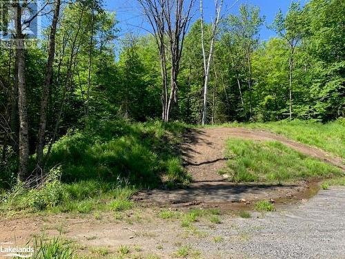 60 Summer Leigh Trail, Huntsville (Stephenson), ON 