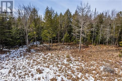 Part Lot 4, Muskoka Lakes (Watt), ON 