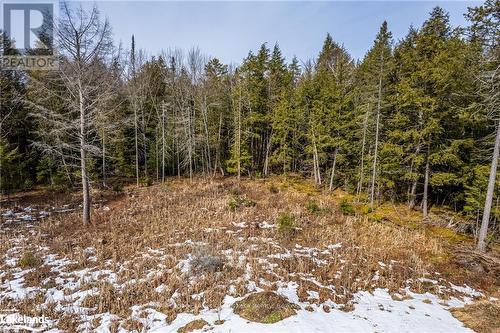 Part Lot 4, Muskoka Lakes (Watt), ON 